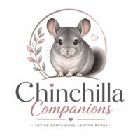 chinchillacompanions.com